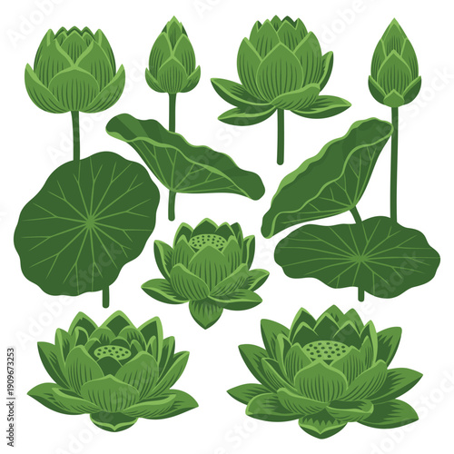 Collection of various green embroidery-style water lily designs in different stages of bloom
