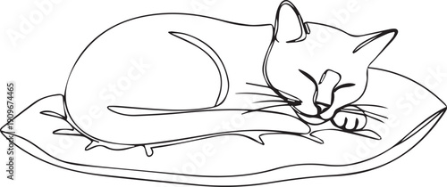 A simple line drawing depicts a peacefully sleeping cat on a cushion