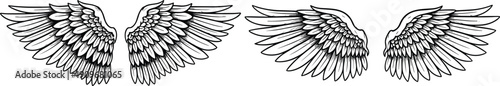 Two pairs of symmetrical wings illustration, detailed feather line art, bird and angel motifs, symbolic artwork, freedom and spirituality design, protective element, artistic black and white sketch