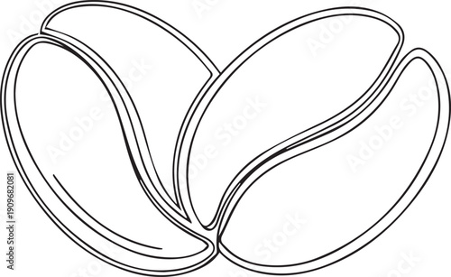 Line drawing of three pistachios with shells partially open