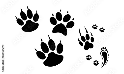Flat outdoor wildlife footprint and animal track icons vector illustration, easily editable.