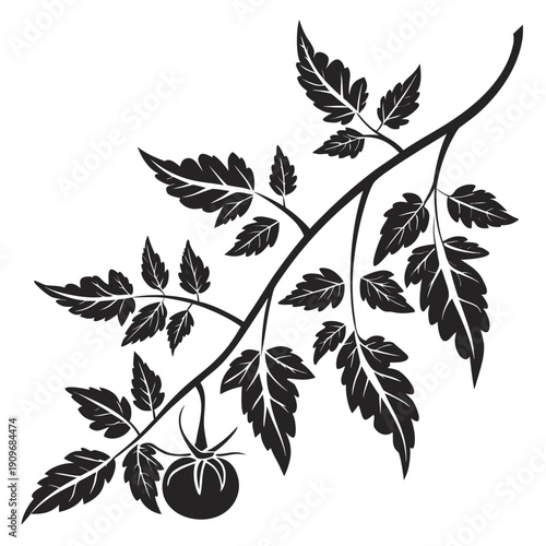 A close-up view of a branch with blackberries and green leaves.