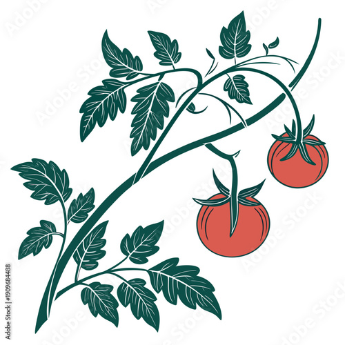 A vibrant illustration of a tomato plant with ripe red tomatoes and lush green leaves.