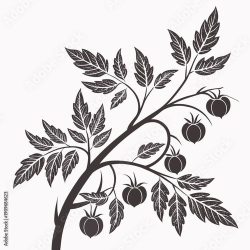 A detailed illustration of a tree branch with ripe, round fruits hanging from it.