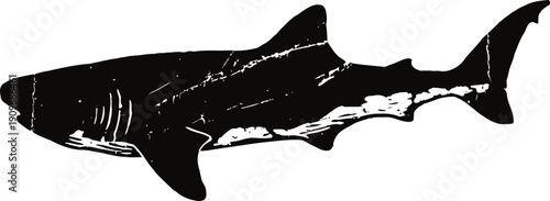 Great white shark illustration in black and white, detailed ocean predator silhouette
