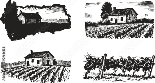 Black and white vineyard countryside illustrations rural house and grapevine farm sketches in vintage
