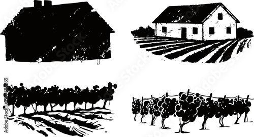 Black ink sketches of rural houses and vineyard rows with grapevines in vintage