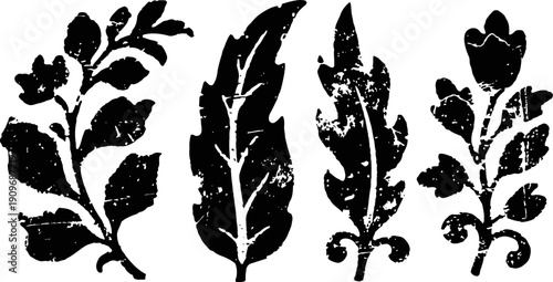 Black grunge floral and feather silhouette elements set decorative nature design motifs and vintage leaves