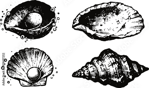 Vintage black and white oyster shells and sea shells hand drawn illustrations with pearls