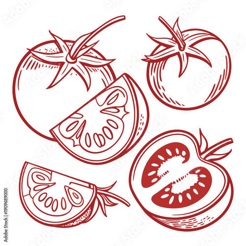 A detailed illustration showcasing various stages of tomato ripening and cross-section