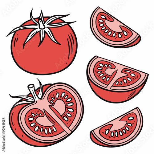 A vibrant illustration of a tomato and its sliced sections.