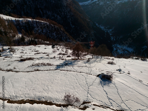 Wallpaper Mural Deers tracks on the snow in Chamois alpine village aerial view in winter season Torontodigital.ca