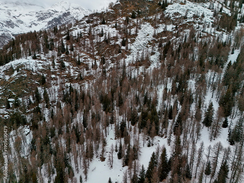 Wallpaper Mural forest in Chamois alpine village aerial view in winter season Torontodigital.ca