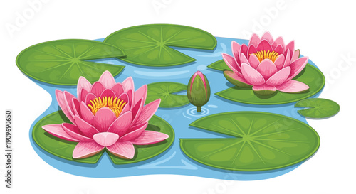 Pink water lilies and green pads float serenely on blue water