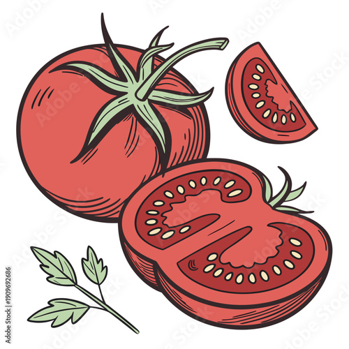 A vibrant illustration of ripe tomatoes with fresh basil leaves and a stem.