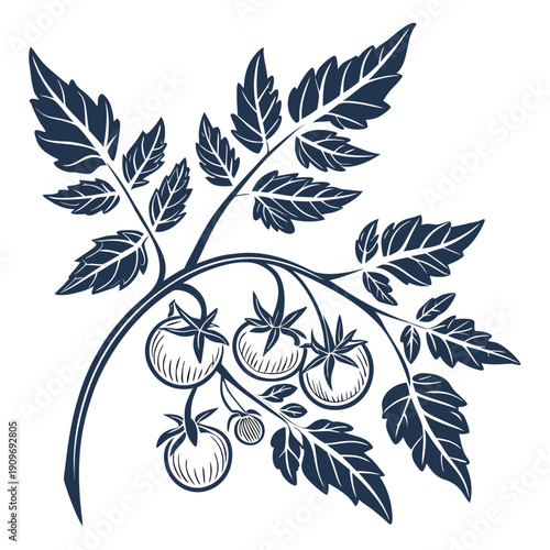 A detailed illustration of a grapevine with leaves and clusters of grapes.