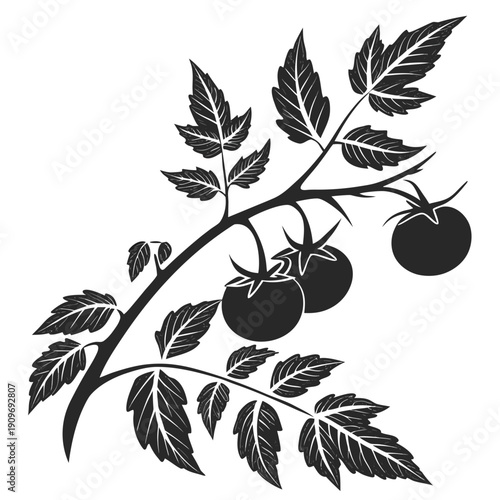 A detailed illustration of a branch with ripe black plums and green leaves