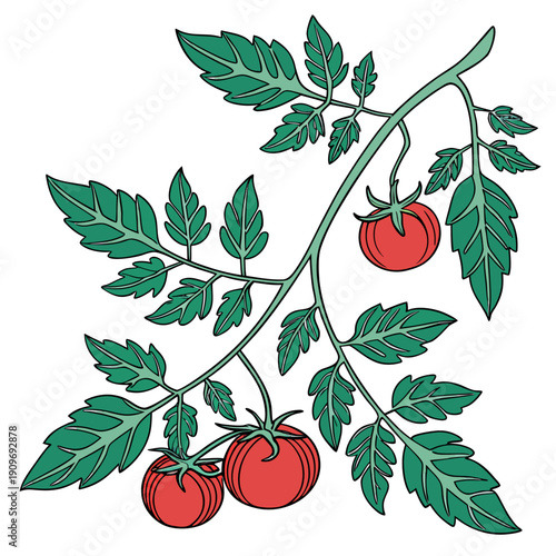 A vibrant illustration of a tomato plant with ripe red tomatoes and green leaves