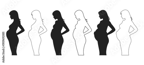 Illustration showing pregnant women in different stages of pregnancy in silhouette and outline on white background