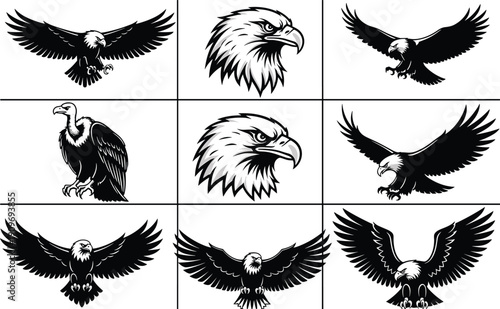 Eagle silhouette collection, bald eagle head and flying poses, black and white vector illustration set, detailed raptor bird clipart isolated on white background