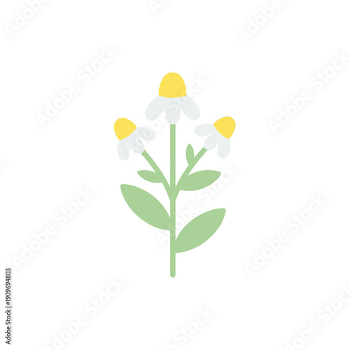 Minimal Flat Vector Illustration of Chamomile Plant with Three Flowers and Light Green Leaves