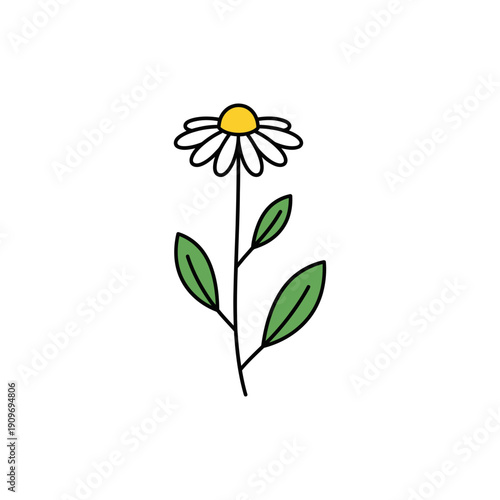 Minimal Flat Vector Icon of Chamomile Flower with Seven White Petals, Stem, and Pair of Green Leaves