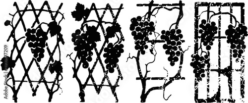 Black grapevine silhouettes on trellis panels with leaves and hanging fruit clusters