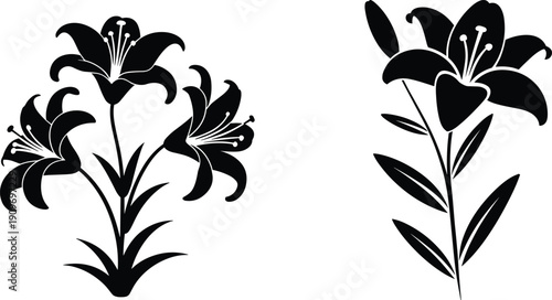 Black Lily Flower Silhouette Set with Elegant Floral Outlines and Garden Blossom Graphics Isolated on White Background for Wedding Invitations, Tattoos, and Stencils