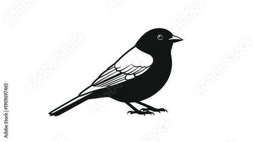 Black and white bird illustration standing on its feet with a sharp beak and detailed feather patterns on its body.