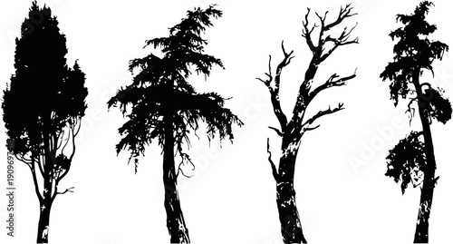 silhouettes of diverse tree shapes with detailed branches and foliage on white background