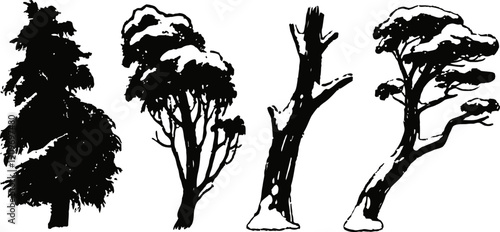 Silhouettes of four different tree shapes in black isolated on white background