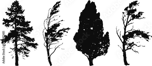 Silhouettes of four distinct tree shapes with detailed black foliage outlines on white background