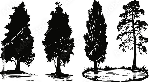 Silhouettes of four evergreen trees with detailed branches and foliage on white background
