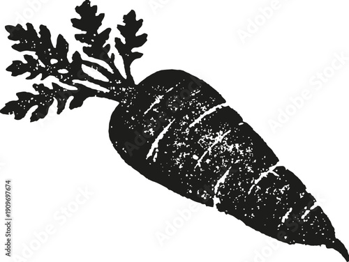 Vintage illustration of fresh carrot with leafy greens, root vegetable garden harvest drawing