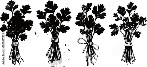 Four different tied parsley bunches black silhouette isolated on white background