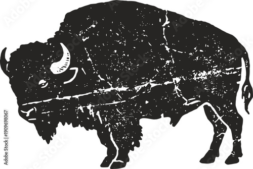 vintage distressed silhouette of a bison buffalo with rugged texture and bold outline