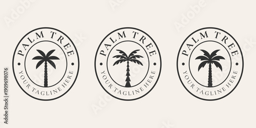 Circular palm tree logo badge