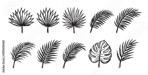 Set of hand-drawn tropical leaves, including palm and monstera. Great for backgrounds, patterns, invitations, or any creative design projects. Black ink on white backdrop.