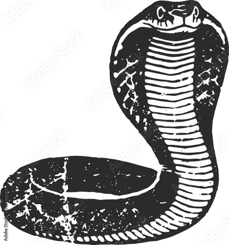 Black cobra snake illustration with raised hood and detailed scales design on white background