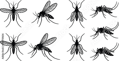 Black silhouette mosquito vector illustration set featuring various realistic poses and top view icons isolated on white background for pest control