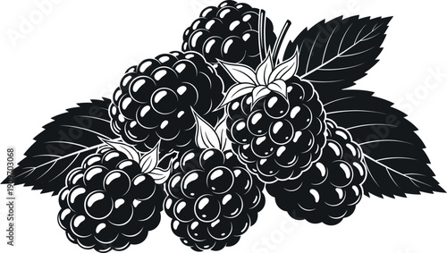 Black and white blackberry icon forest berry wild summer fruit