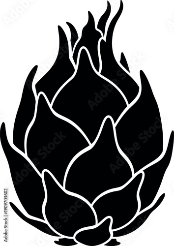 Black and white dragon fruit exotic pitaya tropical cactus fruit