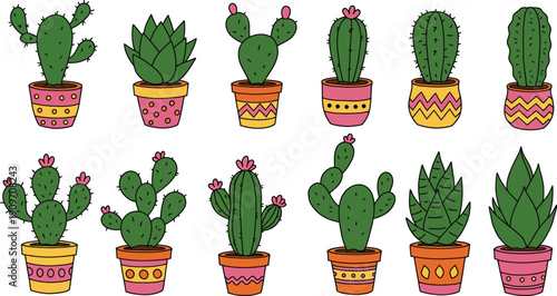 Collection of various colorful potted cacti and succulents in decorative pots