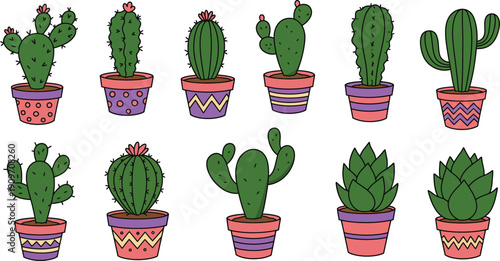 Colorful illustration of various cacti in decorative pots on white background