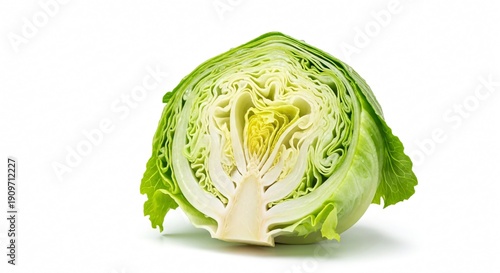 Fresh green cabbage cut in half on white background