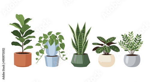 A collection of five potted indoor plants: Fiddle Leaf Fig, Pothos, Snake Plant, Calathea, and a green shrub.