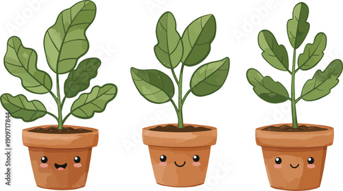 Three small potted plants with green leaves in terracotta pots with face designs