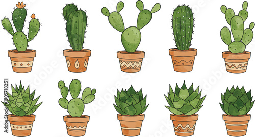 Collection of various cactus plants in pots on white background