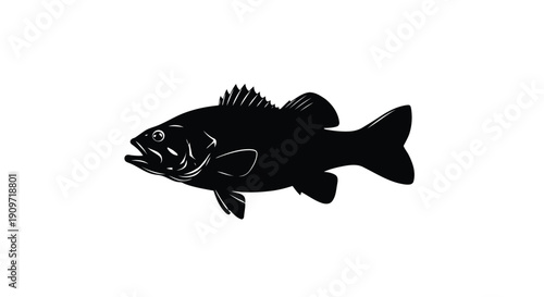 Black fish silhouette against white background