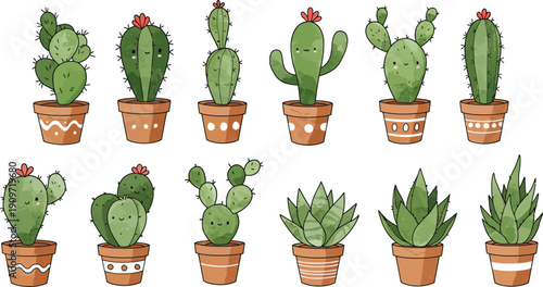 Variety of colorful potted cacti and succulents plants in terracotta pots on white background